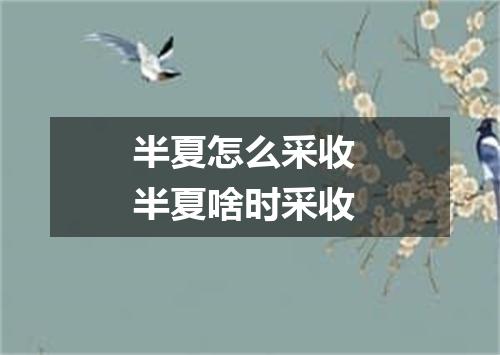 半夏怎么采收 半夏啥时采收