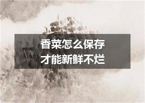 香菜怎么保存才能新鲜不烂