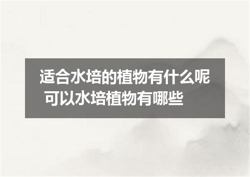 适合水培的植物有什么呢 可以水培植物有哪些