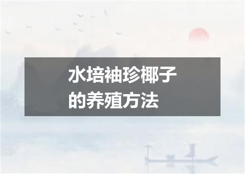 水培袖珍椰子的养殖方法