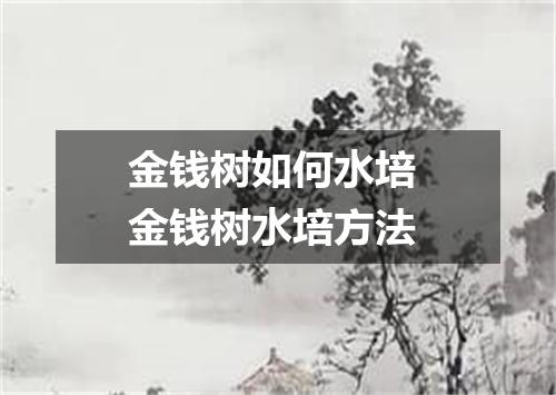 金钱树如何水培 金钱树水培方法