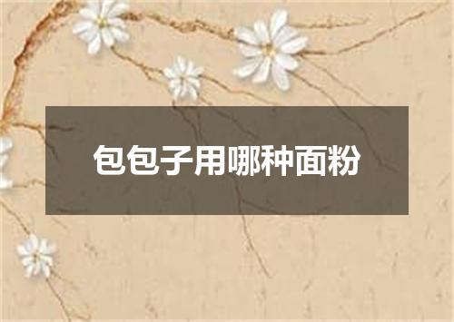 包包子用哪种面粉