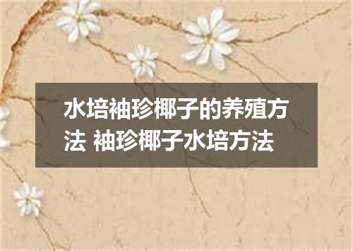 水培袖珍椰子的养殖方法 袖珍椰子水培方法