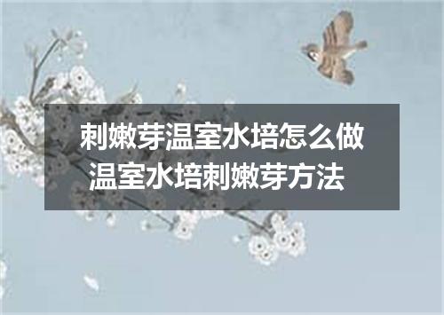 刺嫩芽温室水培怎么做 温室水培刺嫩芽方法