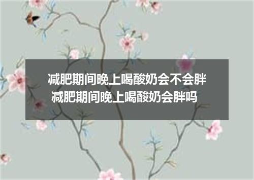 减肥期间晚上喝酸奶会不会胖 减肥期间晚上喝酸奶会胖吗