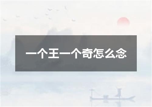 一个王一个奇怎么念