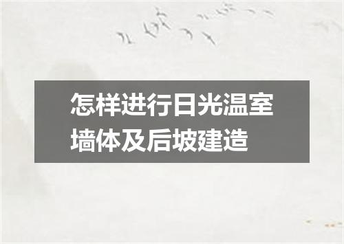 怎样进行日光温室墙体及后坡建造