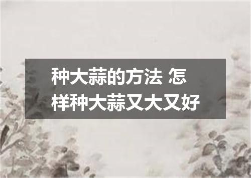 种大蒜的方法 怎样种大蒜又大又好