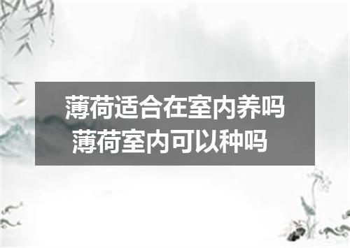 薄荷适合在室内养吗 薄荷室内可以种吗