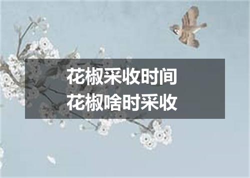 花椒采收时间 花椒啥时采收