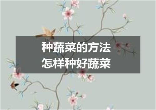 种蔬菜的方法 怎样种好蔬菜