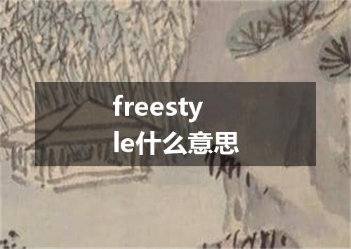 freestyle什么意思