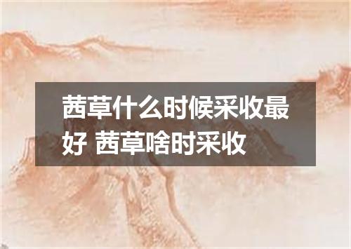 茜草什么时候采收最好 茜草啥时采收