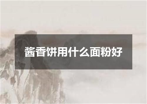 酱香饼用什么面粉好