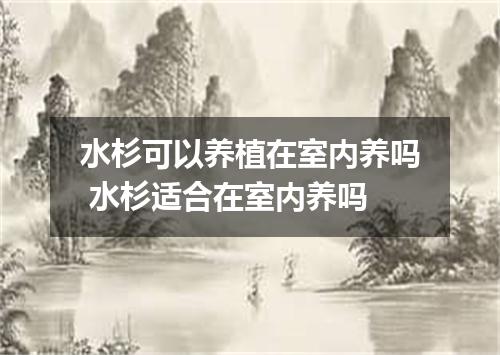 水杉可以养植在室内养吗 水杉适合在室内养吗