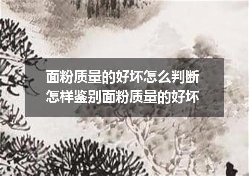 面粉质量的好坏怎么判断 怎样鉴别面粉质量的好坏