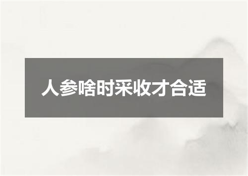 人参啥时采收才合适