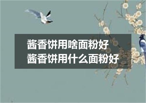 酱香饼用啥面粉好 酱香饼用什么面粉好