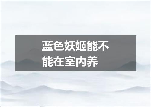 蓝色妖姬能不能在室内养