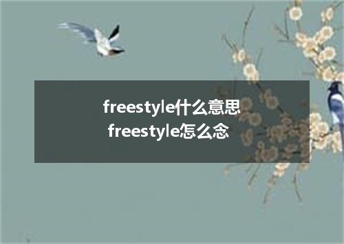 freestyle什么意思 freestyle怎么念