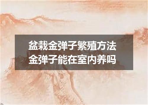 盆栽金弹子繁殖方法 金弹子能在室内养吗