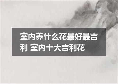 室内养什么花最好最吉利 室内十大吉利花