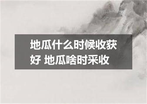 地瓜什么时候收获好 地瓜啥时采收