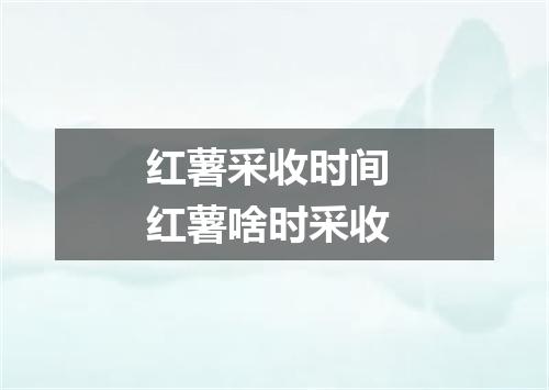 红薯采收时间 红薯啥时采收