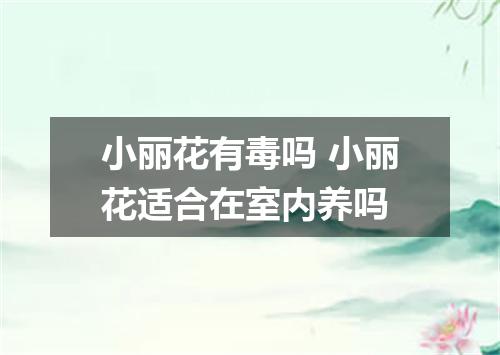 小丽花有毒吗 小丽花适合在室内养吗