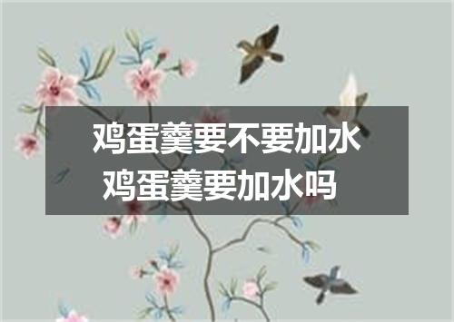 鸡蛋羹要不要加水 鸡蛋羹要加水吗