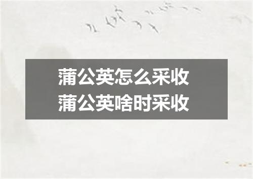 蒲公英怎么采收 蒲公英啥时采收