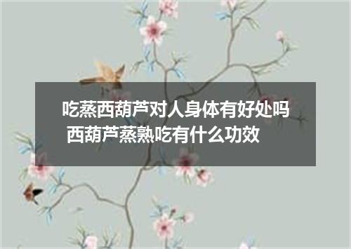 吃蒸西葫芦对人身体有好处吗 西葫芦蒸熟吃有什么功效