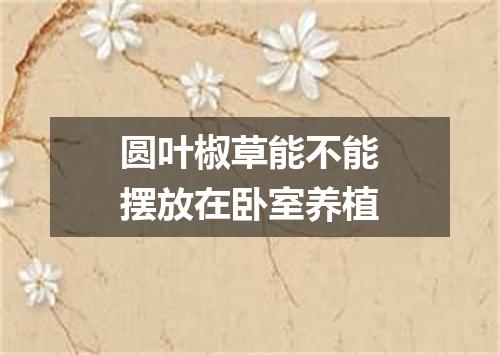圆叶椒草能不能摆放在卧室养植