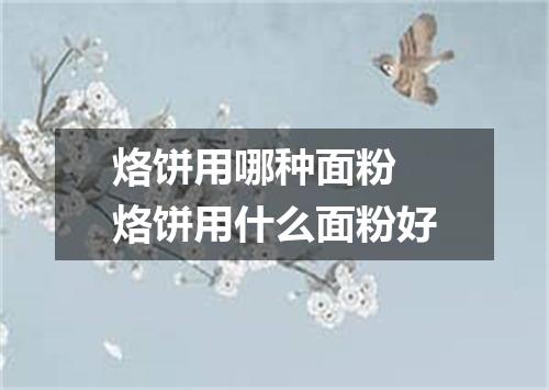 烙饼用哪种面粉 烙饼用什么面粉好