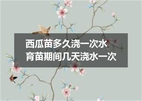 西瓜苗多久浇一次水 育苗期间几天浇水一次