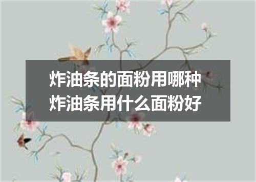 炸油条的面粉用哪种 炸油条用什么面粉好