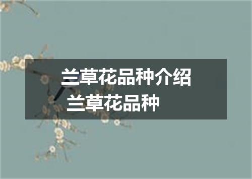 兰草花品种介绍 兰草花品种