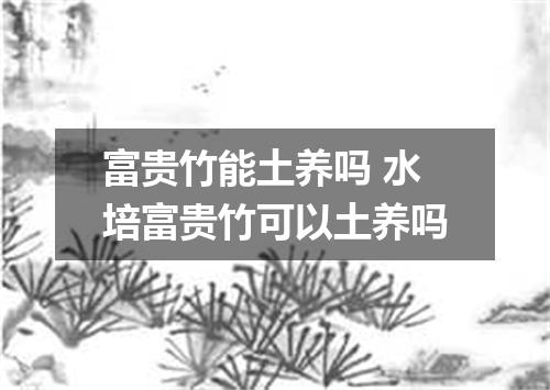 富贵竹能土养吗 水培富贵竹可以土养吗