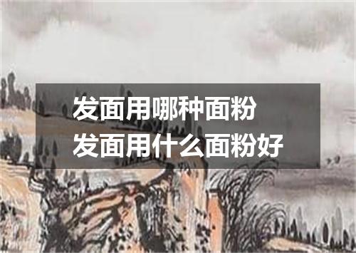 发面用哪种面粉 发面用什么面粉好