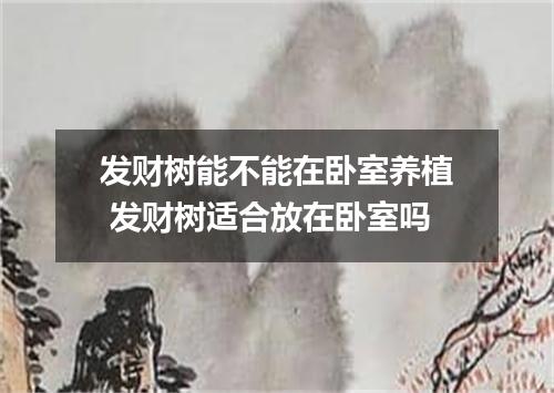 发财树能不能在卧室养植 发财树适合放在卧室吗
