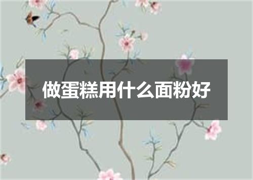 做蛋糕用什么面粉好