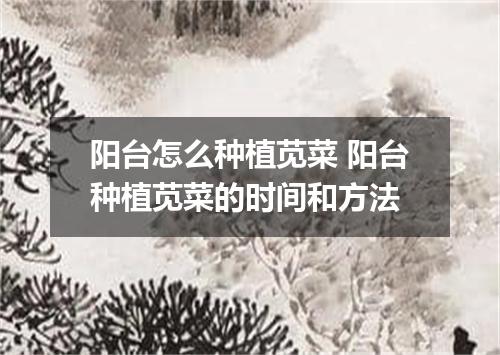 阳台怎么种植苋菜 阳台种植苋菜的时间和方法