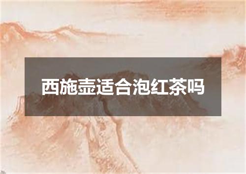西施壶适合泡红茶吗