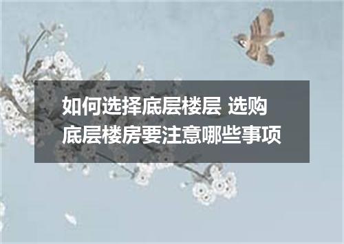 如何选择底层楼层 选购底层楼房要注意哪些事项