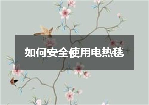 如何安全使用电热毯