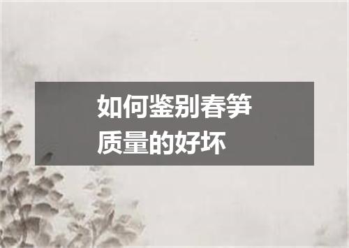 如何鉴别春笋质量的好坏
