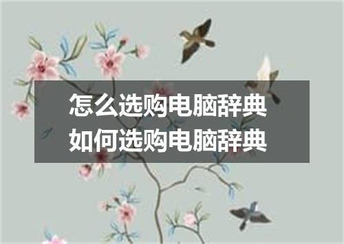 怎么选购电脑辞典 如何选购电脑辞典