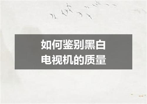 如何鉴别黑白电视机的质量