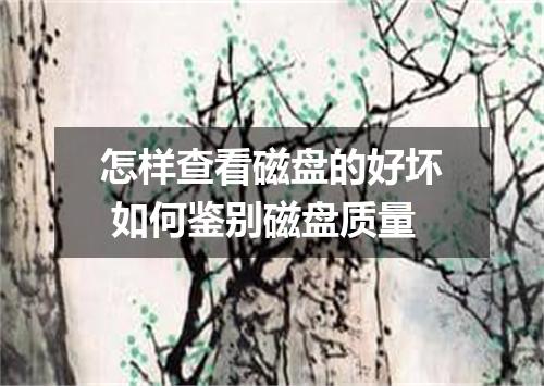 怎样查看磁盘的好坏 如何鉴别磁盘质量