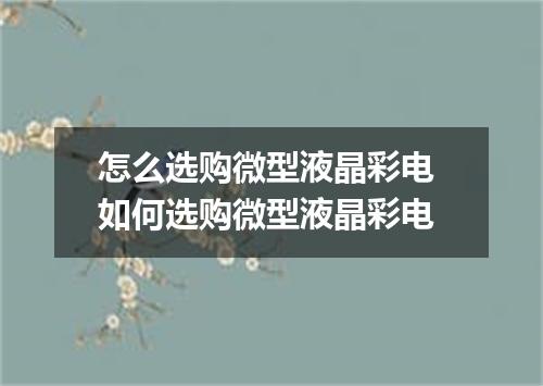 怎么选购微型液晶彩电 如何选购微型液晶彩电